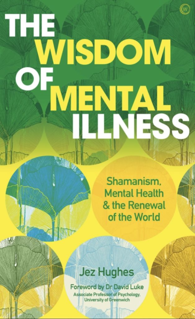 The Wisdom of Mental Illness Book - Second Sight Healing